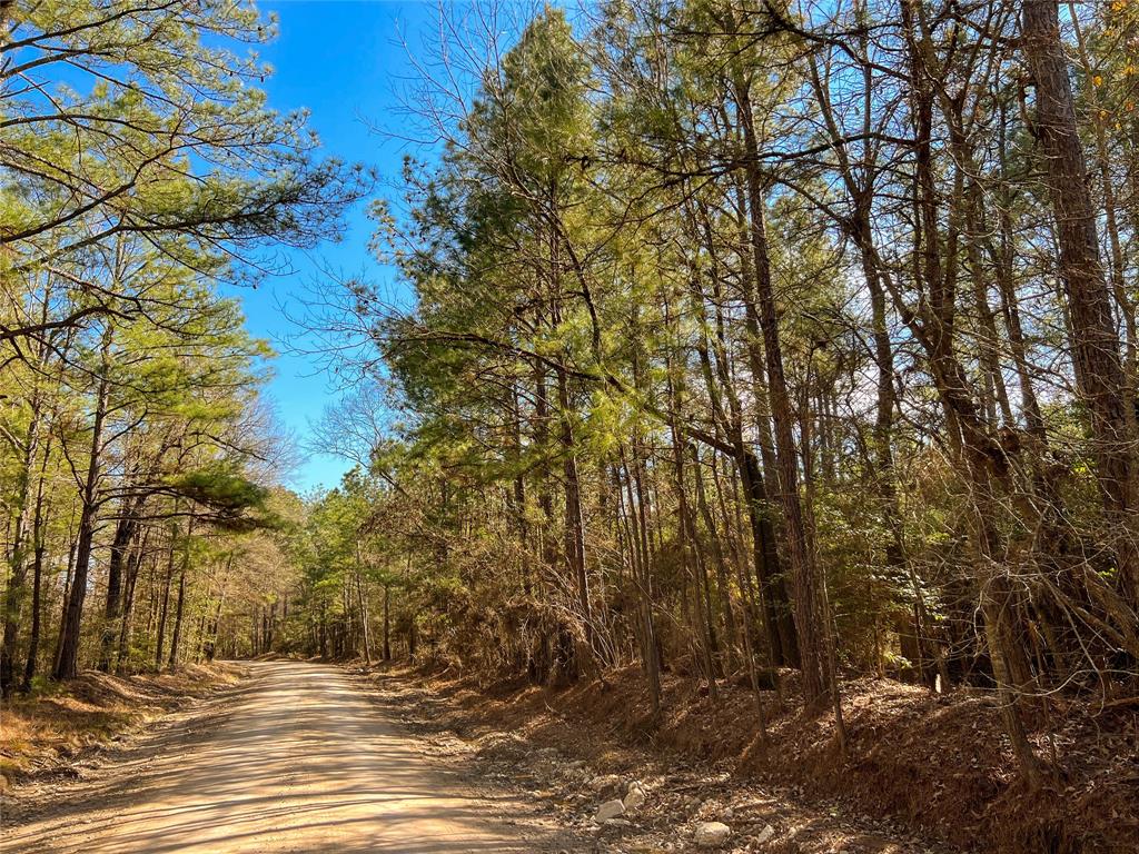 Hilltop in native bluestem and planted pines. Rolling Terrain, Tall Pines, Seclusion, Private Yet Easy Access.  Wooded in Pine & Hard Wood.  Great Home Or Cabin Site.  Great Recreational Tract.