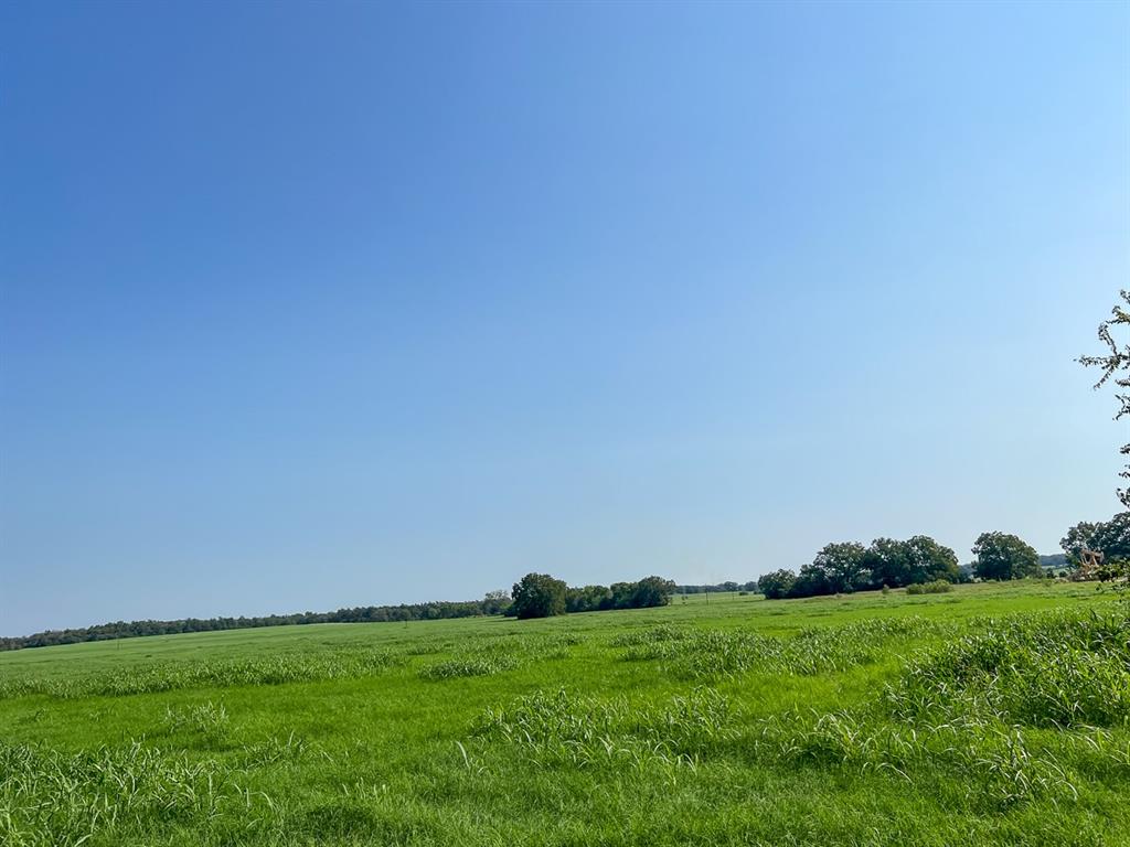 Beautiful hay meadow acreage with a tree buffer along frontage and rear (north) lines. Sloping from hilltop on north end to the SE corner. Electricity along county road frontage. Close to SH 36 with good access and frontage on paved County Road 328. 1 Pond. Fenced on 3 sides. 1 active well site. Good rectangular shape for many agricultural, recreation and/or residential uses.