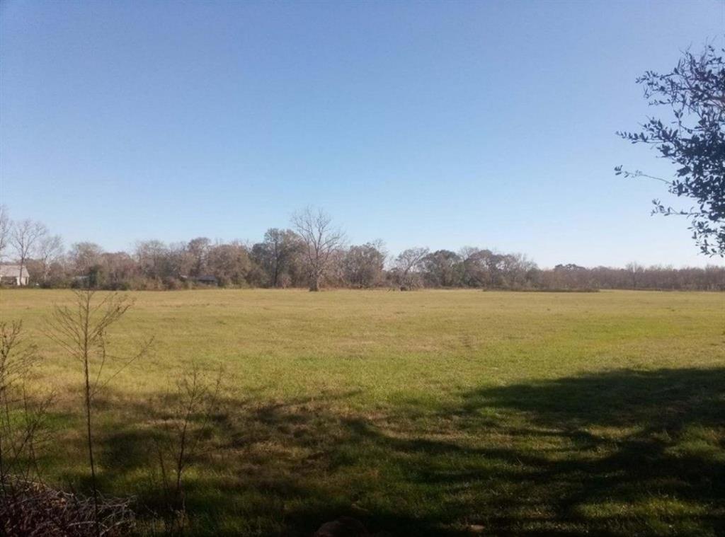 Introducing this Native pasture located in Shephard, Tx that sits on 20 acres that is completely cleared. Wildlife lovers, this could be your happy place in opportunity zone. Perfect for cattle, horses, and bailing hay. There is such open and beautiful sky that is ready for the next journey for a new owner!