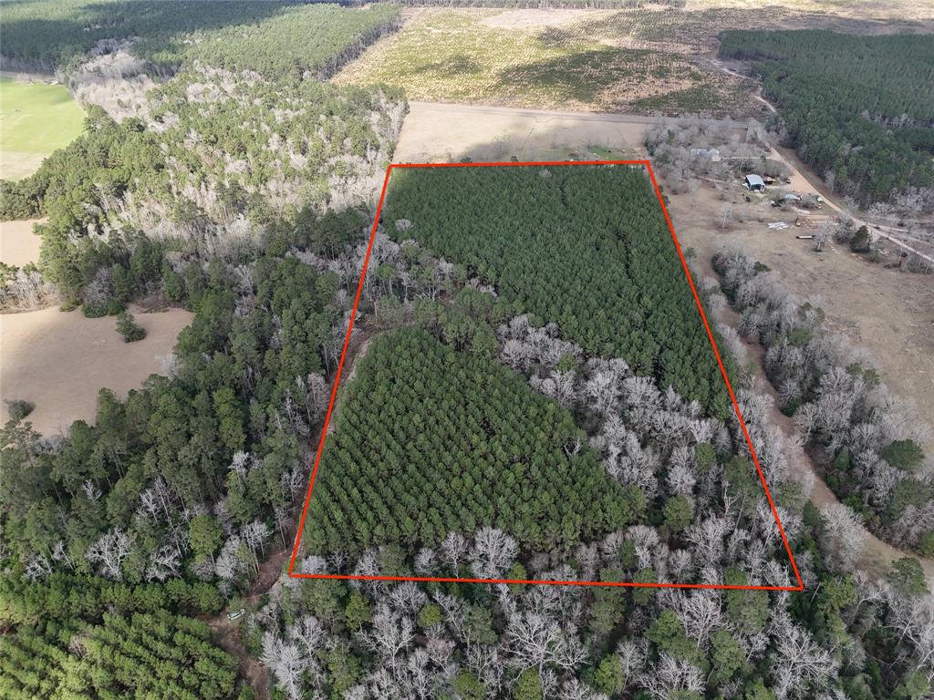 WOW!! Look at the pictures to see what a beautiful property this is. 19.38 acres In the East Texas Piney Woods, just 57 minutes from Houston. This property is mostly pine timber with a timber exemption in place. Some hard woods follow a mostly dry creek bed here.  Very visible in photos. There are light restrictions in place that are designed to preserve the quality of  the neighborhood.  Such as no trash build up and no certain types of businesses etc... But there are no restrictions against hunting or raising livestock or having horses and mobile homes are permitted, provided they are skirted.  NO more than 2 homes are permitted on property. There is no formal POA or dues to pay. Ask your Agent to pull restrictions off listing or give me a call and I can provide them to you. No utilities on the property.  Come take a look at this really tranquil spot in the woods.  (NOTE: Property is located in Schwab City Texas but will GPS to Livingston as that is the mailing address).