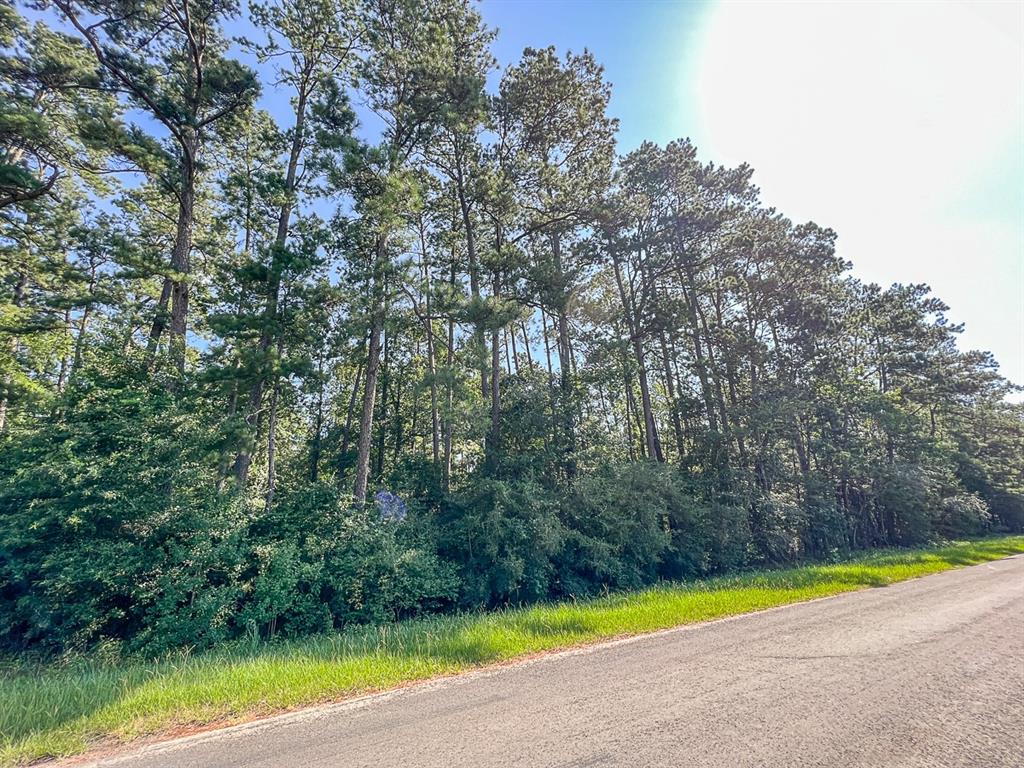 1st time open market offering for this stand-alone tract with big frontage on FM 1008 and  County Road 2326. Bisected by the Luce Bayou canal. Heavily wooded in native trees with electricity along FM 1008 and CR 2326. Development or multi-use.