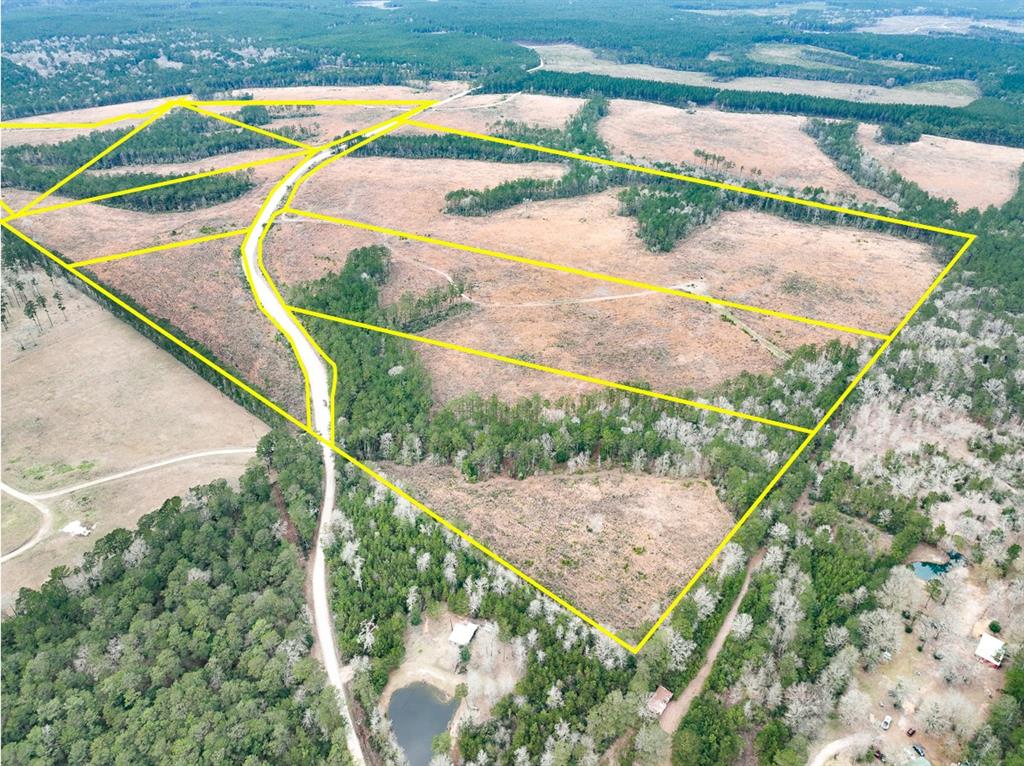 T-3A; 1st time open market offering! Hardin Hideout Road. Low traffic, non-thru public, “county maintained,” road! Rolling planted pine with native bluestem. Mature pine and hardwood in creek drain buffers. Easily accessed from US 59 (I-69). Great for recreation, ranch/farm, residential, hunting…