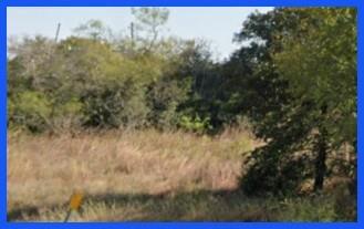 2+ ac, level close to I-10 in Waelder Texas between Katy and San Antonio. Ample frontage for easy access. Seller will install water well fence between tracts and bring power to the tracts. Part of tax id 9054. Contingent on Gonzales County plat approval. Survey will be ordered once approved.