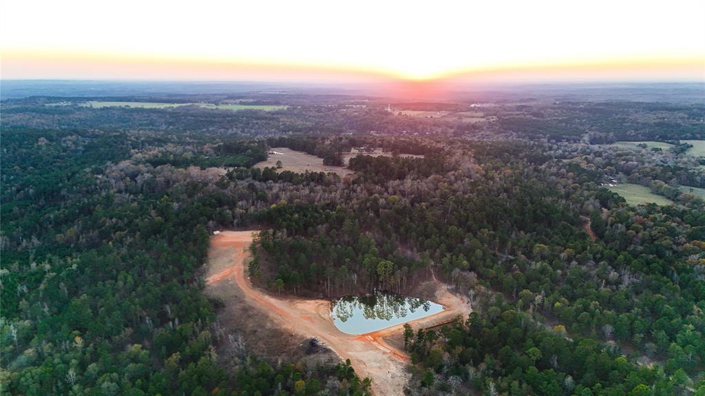 This 97-acre high-fenced game ranch offers an exceptional opportunity for hunting enthusiasts, those seeking a private retreat, or a family compound. Located just 90 minutes from Dallas and two hours north of Houston, the property is easily accessible while maintaining a secluded, tranquil atmosphere. The build site features electricity with a 400+ Foot water well. There is a lake that provides ample water sources for the over 120 animals, including Axis deer, Red Stag, and Fallow deer, making it a hunter's paradise. The building site offers stunning views of the surrounding landscape and wildlife. With a well-maintained road system throughout the property this ranch is ideal for a weekend getaway or development opportunity. Whether you're looking to hunt, relax, or entertain, this property combines natural beauty and luxury in a way that is perfect for those seeking both adventure and serenity.