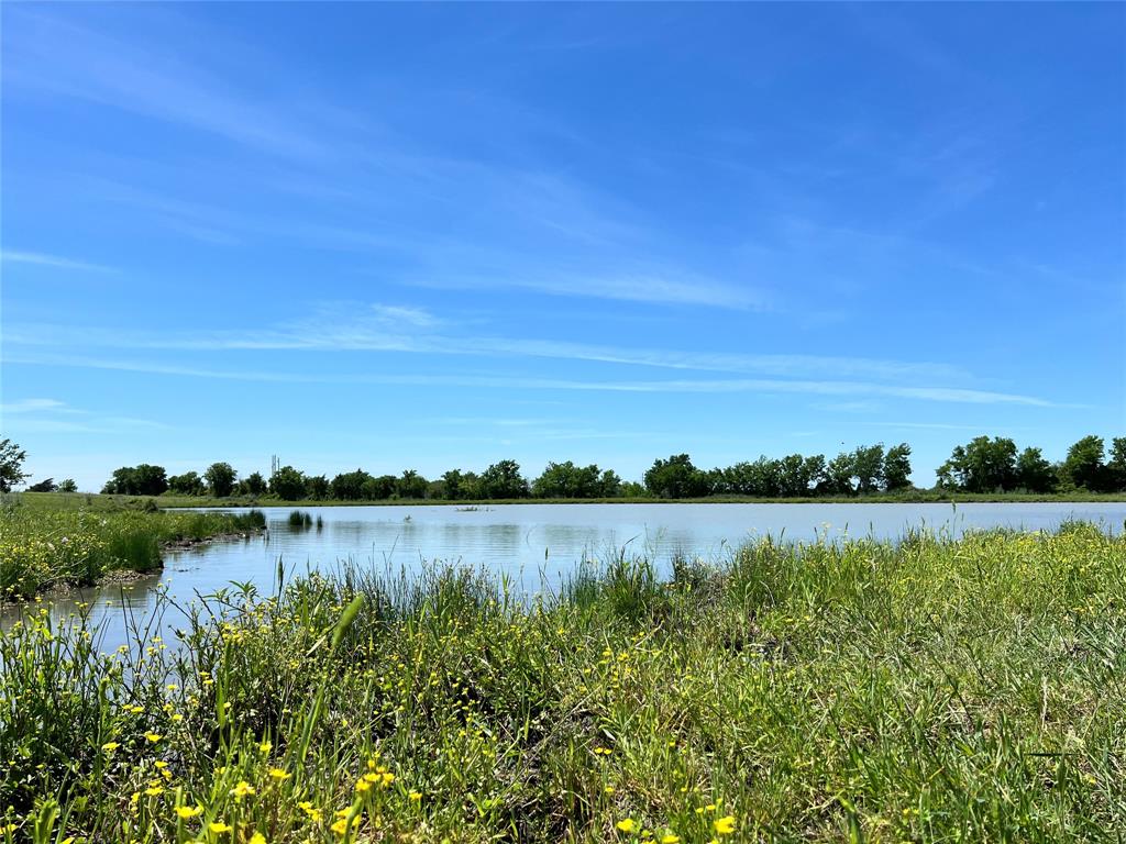 GREAT SUBDIVISION POTENTIAL conveniently located between Brenham and Chappell Hill with easy access to HWY 290!  Amazing, hilltop views, wildflowers in the springtime, stocked pond, excellent road frontage on 2 sides, no flood plain, and currently ag-exempt for native pasture. Don't miss out on this incredible investment opportunity!