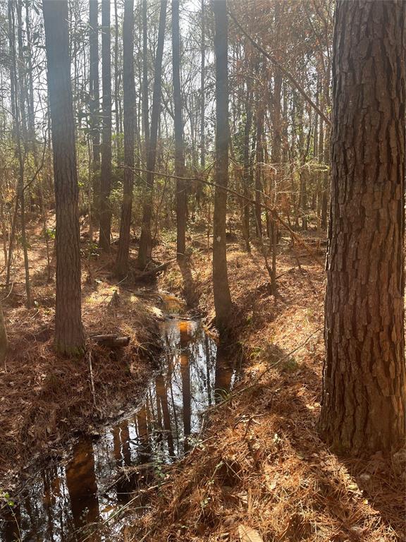 18.655 acres of UNRESTRICTED land with two active creeks and plenty of mature hard and soft wood timber. This rolling property offers secluded country living or a perfect weekend getaway from the hustle and bustle of city life. Hunt or play, this amazing acreage can do it all. The two creeks that provide majestic hardwood bottoms merge into one at the far-left side of the property, but there is plenty of high ground to build. Approximately 640' of FM 943 road frontage. Located in the highly sought after Big Sandy School District.