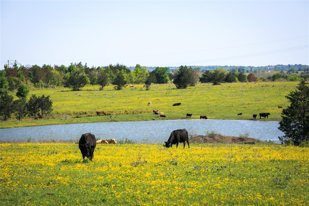 GREAT INVESTMENT OPPORTUNITY! Conveniently located between Brenham and Chappell Hill with easy access to HWY 290!  Excellent road frontage, electricity on site, and currently ag-exempt for native pasture. Amazing, hilltop views with multiple, large stocked ponds and a good mix of scattered hardwoods. May be subdivided. Adjoining acreage for sale. Sellers to retain all mineral rights and waive surface rights.