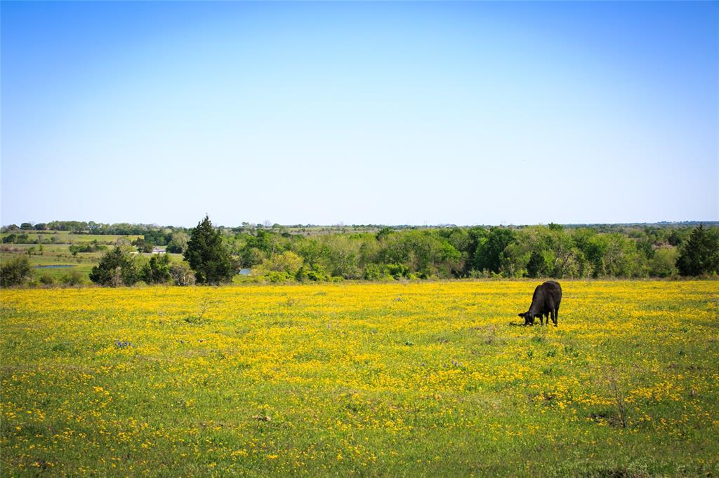 GREAT INVESTMENT OPPORTUNITY! Conveniently located between Brenham and Chappell Hill with easy access to HWY 290!  Excellent road frontage on two sides, electricity on site, and currently ag-exempt for native pasture. Amazing, hilltop views with multiple, large stocked ponds and a good mix of scattered hardwoods. Ideal potential for development! Adjoining 10 acre tract for sale. Seller to retain all mineral rights and waive surface rights.