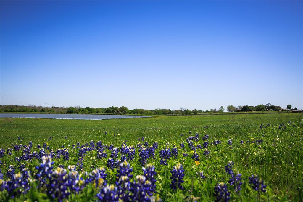 Conveniently located between Brenham and Chappell Hill with easy access to HWY 290! Electricity on site, and currently ag-exempt for native pasture. Amazing, hilltop views with large stocked pond and a good mix of scattered hardwoods. May be subdivided. Adjoining 103 and 10 acre tract for sale. Seller to retain all mineral rights and waive surface rights.