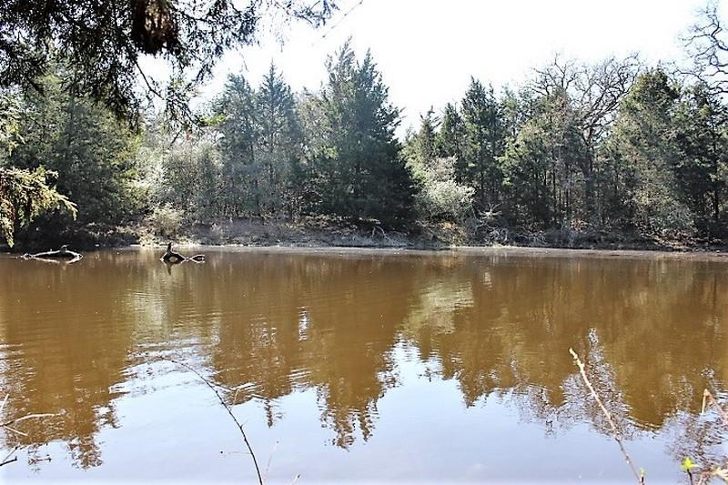 22.82 acres just west of the Flynn community off PR 4250. Land is rectangle in shape, 100% wooded with virgin timber, sloped terrain and has a small pond located on the back corner of the property. Land is fully fenced with barbwire, electric and water are available at the road. Property has had a new survey and the boundary lines have been cleared. Seller has also rocked the road leading into the property and cleared out an area that is perfect for a camper. This property offers excellent hunting and recreational opportunities for the outdoorsman.