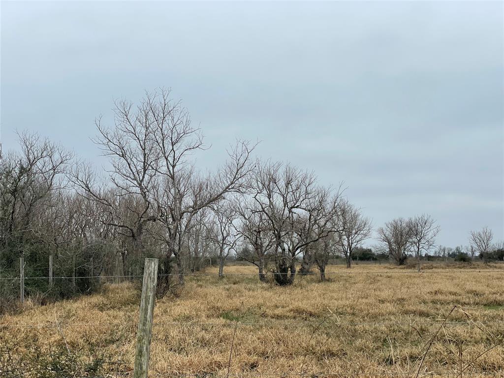 Hello country living in Needville, TX! 2 ACRES available for new owners. Bring your all your ideas and projects - new dream home, cattle, horses, mobile home, hens etc. 10 minutes from the heart of Needville and schools. Mid point between Rosenberg & Rosharon. Hablamos Espanol