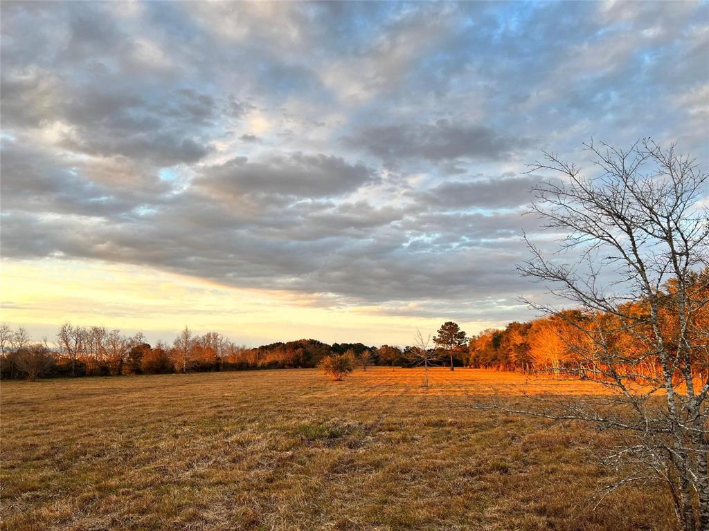 21.722-acre unrestricted property. Great mix of mature trees, open pasture, and waterfront access, giving you plenty of space. Whether you're looking for a peaceful getaway or the perfect spot to build your dream home, this property has it all. One of its best features? Double Bayou frontage! Step outside, hop in your boat, and enjoy a quick 10-minute ride to Trinity Bay. Whether you love fishing or just relaxing by the water, this is a great place to do it. With an AG exemption in place, you’ll enjoy lower property taxes while still having the freedom to build a home, or a barndo, or utilize the small 1 bedroom 1.5-bathroom home that is situated close to the road for place for a weekend retreat or an investment property to use as additional income. And with no restrictions, you can bring your horses, cows, or other livestock and truly make it your own.
This isn’t just a piece of land—it’s a great opportunity to create the lifestyle you want. Don’t miss out—schedule a tour today!