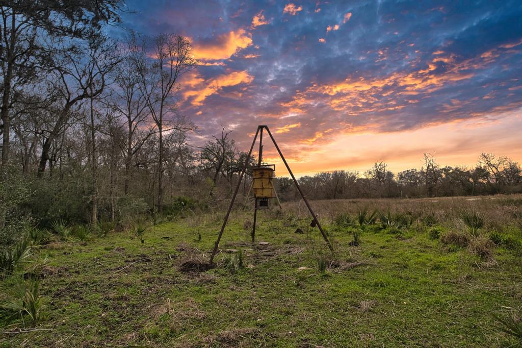 Prime 41.46-Acre Unrestricted Land in Sweeny, TX – Endless Possibilities!

Seize this rare opportunity to own 41.46 acres of unrestricted land in the heart of Brazoria County! Located just 50 miles from Houston, this versatile property offers limitless potential—whether you're looking to build your dream home, establish a ranch, or develop for commercial or industrial use.

Situated just 2 miles from the Chevron Phillips plant, 30 miles from Freeport, and approximately 35 miles from the STP Nuclear Plant, this location is ideal for those seeking privacy while maintaining easy access to major employment hubs. With no zoning restrictions, you have the freedom to create the perfect homestead, business, or investment opportunity.

Enjoy the peace and space of country living while remaining conveniently close to the Texas Gulf Coast, industrial centers, and major highways. Don’t miss this chance to own a prime piece of Texas land—schedule a showing today!