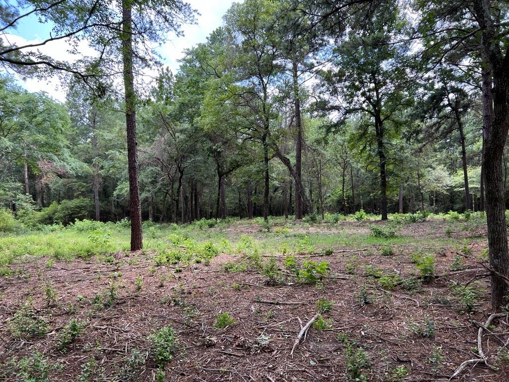 This 25-acre wooded tract is situated off paved CR 302 in beautiful Grimes County. It offers soft and hardwood trees, lots of privacy and 2 areas ready for your home site. Bring your ATV's, dirt bikes or mud bug and enjoy the multiple trails throughout the property. As you make your way to the back you'll find a wet weather creek that draws in an assortment of wildlife! Nice sandy soil, no flooding, adjoining neighbors properties are lovely and a timber exemption is in place!