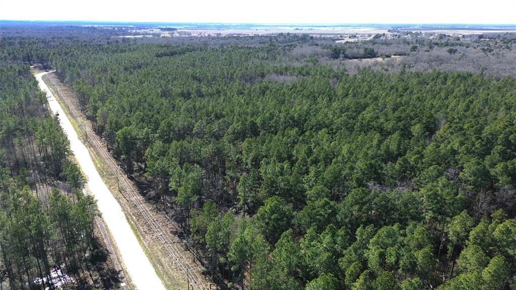 PINEYWOODS RANCH! This beautiful 20.66-acre property would make a great location to build your forever home. Covered in mixed hardwood and pine timber, this land is conveniently located right off FM 230 in Weldon, TX. Lots of wildlife can be seen at this secluded ranch and it is currently under ag exemption. Power is available along the private road, if you desire to turn this into a weekend retreat or build your forever home. Light deed restrictions are in place to protect your investment. Contact us today for additional details or to schedule a tour of this amazing property.