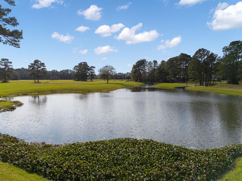 Nestled in the heart of nature, this stunning 7-acre lot in Conroe, Texas, offers the perfect blend of tranquility and convenience. Surrounded by mature woods, the property provides unparalleled privacy and a serene ambiance, ideal for building your dream home or a peaceful retreat. A picturesque pond graces the land, adding a touch of charm and opportunities for relaxation or recreational activities.

Situated just minutes from the vibrant Woodforest community, the expansive waters of Lake Conroe, and the bustling amenities of The Woodlands, this property combines the best of both worlds: seclusion and accessibility. Whether you're envisioning a quiet escape or a base for exploring the area's dining, shopping, and outdoor adventures, this unique lot delivers on all fronts.

Embrace the potential of this rare offering in one of Texas's most desirable locations.