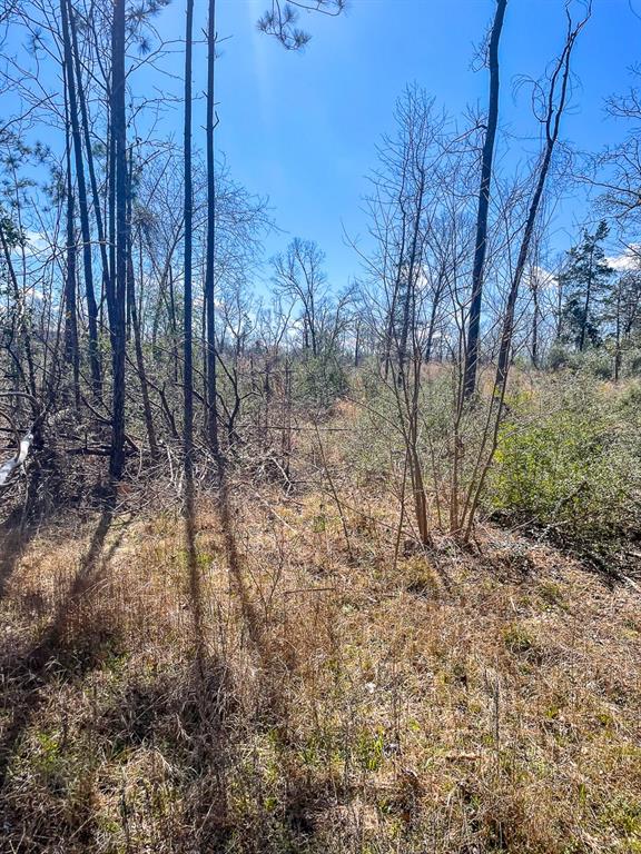 Property adjoins Davy Crockett National Forest with FM 2262 frontage. Selectevly harvested acreage with scattered hardwood trees. Gently rolling topography, unrestricted and suited for pasture conversion, recreational hunting, timber. Aerial imagery does not accurately illustrate tree coverage.