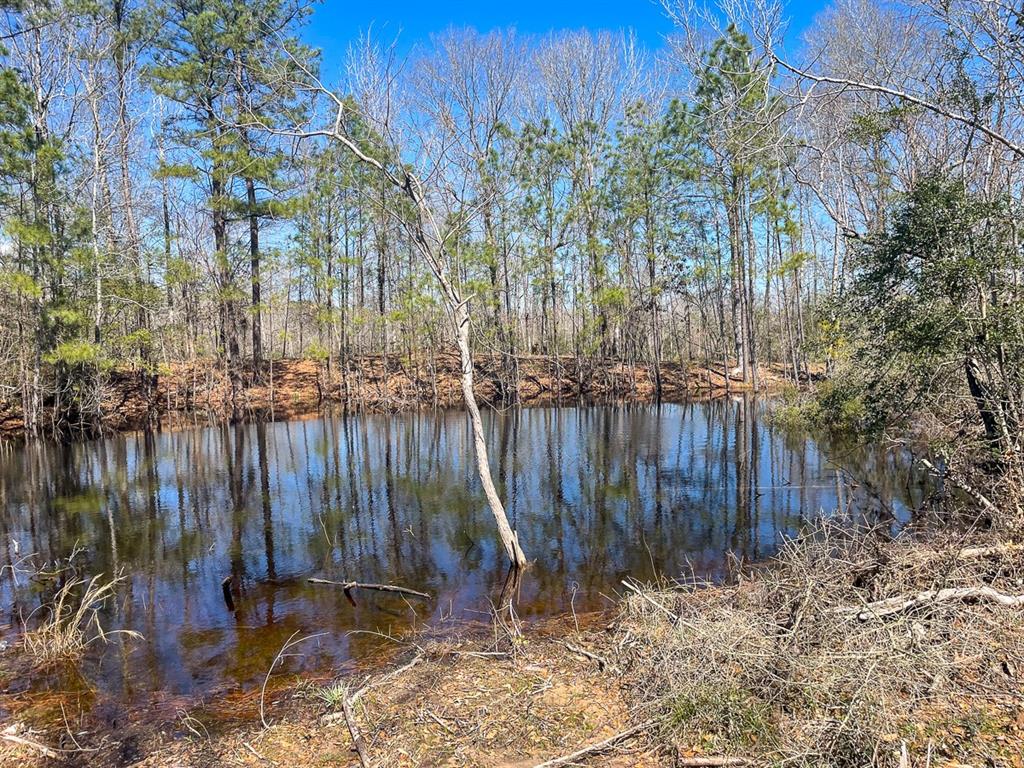 Property adjoins Davy Crockett National Forest with US Highway 287 frontage. Selectively harvested acreage with scattered hardwood trees. Gently rolling topography with a small pond located within. Unrestricted and suited for multi-purpose usage - industrial, leisure ranch, pasture conversion, recreational hunting, residential, timber. Adjoining out tract off Highway 287 is a water company water well. Electric and water available. Aerial imagery does not acurately illustrate tree coverage.