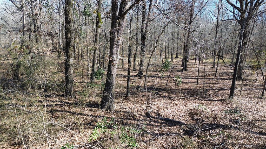 COUNTRY LIVING- MOTIVATED SELLER! This would make a great location for that new home or recreational tract. This 20-acre tract is mostly woods, with about a 1-acre opening toward the back of the property. The remote location provides lots of deer and wildlife. Electricity is available along the road and a water well will have to be dug for water. Call today to schedule a private showing.