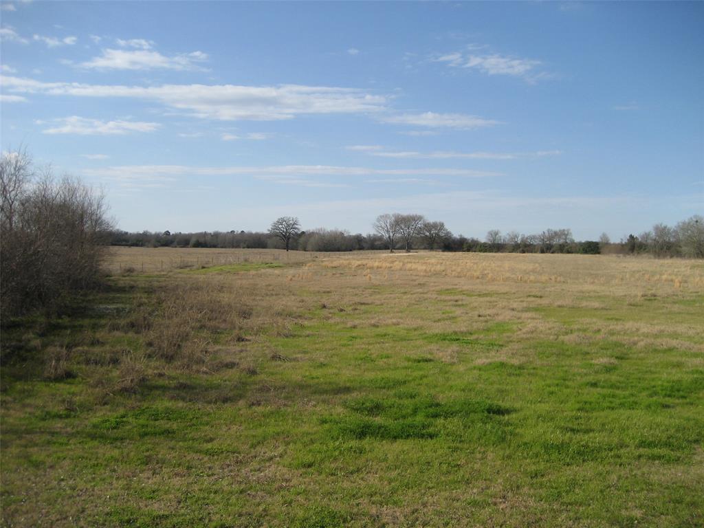 SPECTACULAR OPPORTUNITY TO RELOCATE TO THE COUNTRY. 16.39 ACRES OPEN PASTURE READY FOR YOUR PERSONAL PLANS. PERIMETER FENCED, ONE STOCK POND, LOCATED IN MUCH SOUGHT AFTER LOVELADY SCHOOLS. HISTORIC OLD FARM HOUSE IN NEED OF MAJOR REPAIR OR DEMOLITION. WATER, SEPTIC AND ELECTRICITY ON THE PROPERTY. IDEAL LOCATION EASILY ACCESSDED FROM I-45.