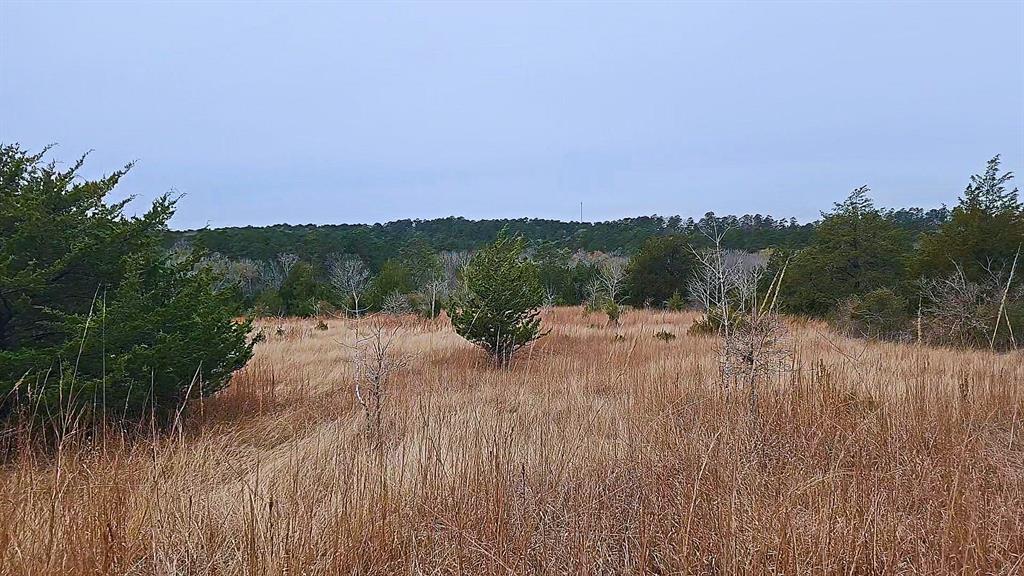 Escape to the serene beauty of Southeast Texas with this exceptional property, offering a unique blend of convenience, natural splendor, and limitless potential. Located less than an hour from The Woodlands, 1.5 hours from Houston, and a mere 20 minutes from Huntsville, this land provides the perfect balance of rural tranquility and easy access to urban amenities. Plus, you're less than 2 miles from Lake Livingston! Build your private dream estate with panoramic views and rolling terrain. Develop multiple family homes for a peaceful retreat. Create a recreational haven for outdoor adventures for you, your family and friends. 150 +/- feet of road frontage. Up to 101 +/- additional acres available adjoining the property which includes 2 other owned access points. Timber Exemption in place - Low Taxes. Opportunity for potential mineral rights.