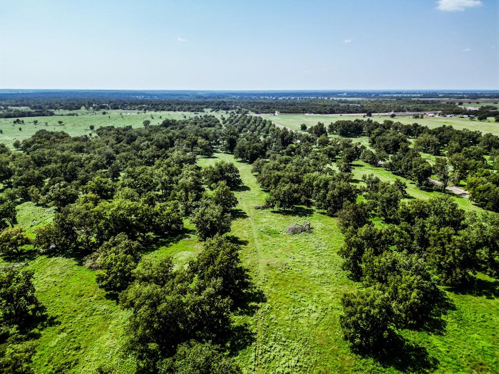 155+/- acre located just 1.5 hours from Houston and a little over 2 hours south of Dallas, it has 4,500 feet of frontage along FM 2548. The land features a productive native pecan farm as its main source of income, along with improved pastures, making it great for livestock. There is also plenty of wildlife, offering excellent hunting and recreation. Several great spots are available to build a home or a lake. The property includes water well and well-kept driving trails for easy access. This is a rare chance to own a prime piece of land in a great location. Schedule your showing today