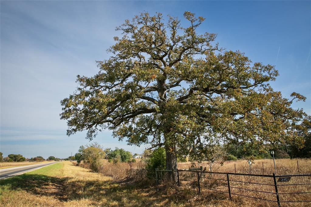 55+ acres in Lee County with pond, scattered trees, and property has agricultural valuation in place. Also comes with built in rental income from 2 mobile homes with a 3rd vacant and ready to rent. Homes each have their own septic in place and are on Lee County Water supply and Bluebonnet Electric. One of the mobile homes has been remodeled. Property also includes barn with working pens, storage building and is perimeter fenced. Enjoy as a weekend retreat or live full time with easy access back to Hwy 290.