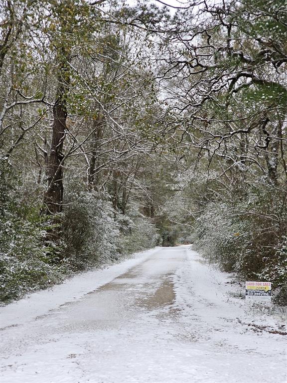 Rare heavily forested 8.5 acre tract of land offering that is located just 5 miles north of the Hwy 105 & FM 1774 intersection in Plantersville and off of a short and quiet dead-end county maintained road. This property offers one a blank slate to carve out a home-site clearing to your liking and has enough woods to maintain total screened views from all sides if so desired. There is a beautiful hilltop toward the middle of the property that is higher in elevation than the neighboring properties and should create a stunning build site. This land has been in the same family for 40+ years and has been more or less untouched other than light livestock grazing. There are many large mature trees throughout and small walking trails that meander through the property. This property is not a part of any subdivision or HOA and is within the Anderson-Shiro ISD. Dobbin-Plantersville water line runs alongside the property. Power on neighboring tracts. Call today to schedule your private tour!