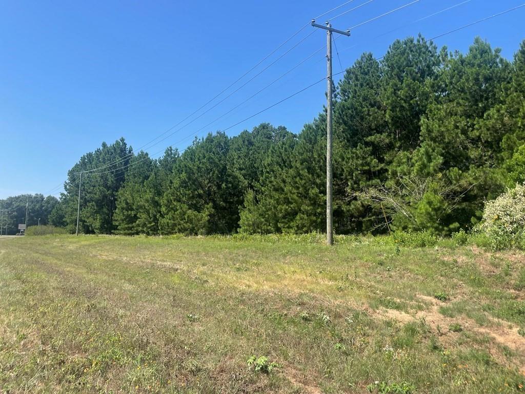 1.53 acres with approx. 300 feet of US-287 Frontage. Wooded. Public utilities are available. Excellent visibility, two State Crossovers are very close to this property for easy access from North or South bound Traffic on US-287. Traffic counts are available from the Texas Highway Department in Crockett.  Large enough to offer flexibility and small enough to be affordable for new residential or commercial development.