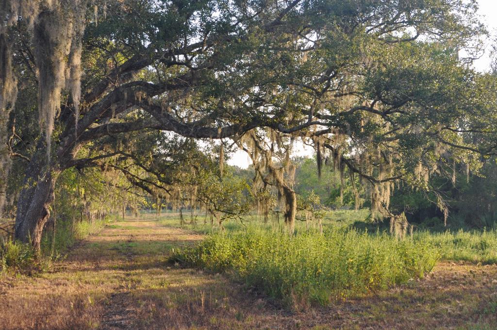 Welcome to Bitcoin Ranch, a sprawling 43.18-acre property that perfectly balances the serenity of the countryside with the promise of future development. Positioned just beyond the expanding West Houston corridor, this land offers a rare opportunity for those seeking a tangible, lasting investment—whether for personal retreat, land banking, or future growth.

Buy this ranch with Bitcoin or Crypto! 

This property boasts multiple stunning homesites, with ancient hardwood trees lining the entrance and creating a welcoming, picturesque drive. Beyond, the land opens into a lush pasture filled with native grasses and understory, dotted with towering hardwoods that provide shade, beauty, and habitat for local wildlife.