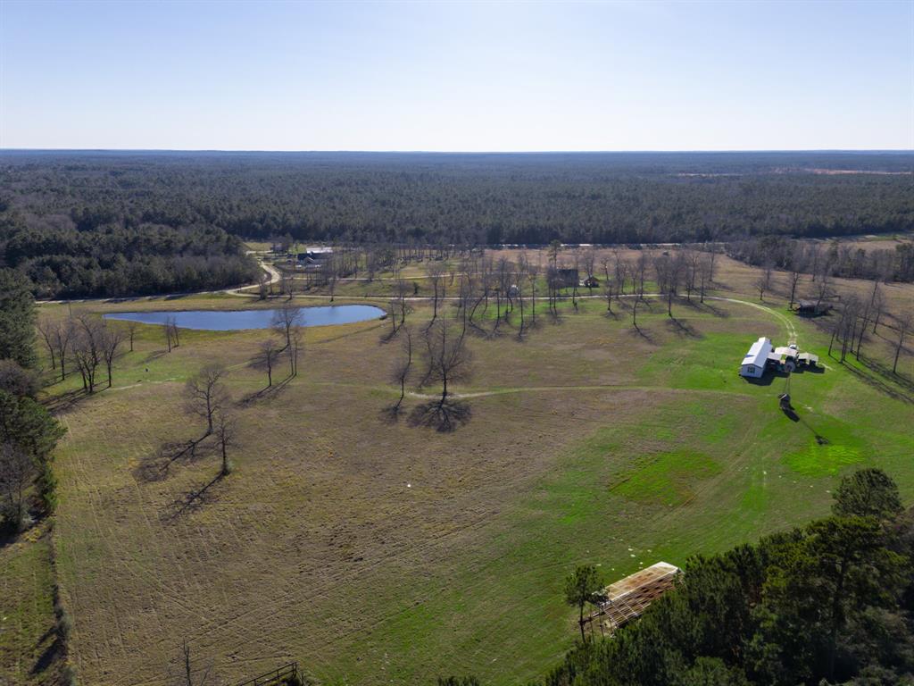 Set on 16.91 picturesque acres in East Texas, this charming 3/2 home is a dream for those seeking rural living. Enjoy breathtaking views of the surrounding land from the large kitchen window. The primary suite includes a relaxing soaking tub and separate shower. Outside, a large stocked pond with bass and catfish, a real windmill, and a variety of fruit trees create a beautiful outdoor sanctuary. The property is abundant with wildlife, including deer, making it ideal for nature lovers. There’s ample space for livestock, gardening, or expanding your vision of country living. Whether you’re looking for a weekend getaway or a full-time homestead, this property offers a blend of tranquility and convenience just a short drive from the city of Groveton.