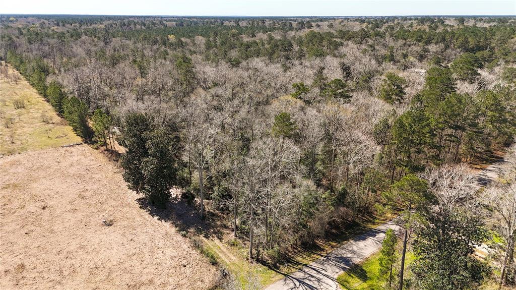 This unrestricted 18 acre property is located just 10 minutes from Cleveland, offering both privacy and convenience with quick access to Highway 59. The property already has a public water tap in place at the road and electricity available at the street. Back 2 acres have been partially cleared and there is a roadway on the left side property line that extends to the back of the property. Enjoy the added benefit of having a creek that runs through the property & a timber exemption that provides a significant tax-saving advantage. Whether you’re planning to build a home, looking for an investment or seeking space for outdoor recreation, this property offers endless opportunities in a peaceful and convenient location. Not in a flood zone*