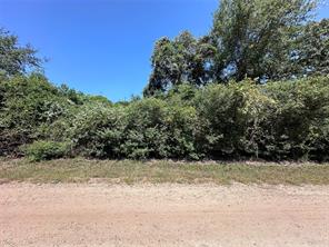 TBD New Mexico, Hilltop Lakes, TX, 77871