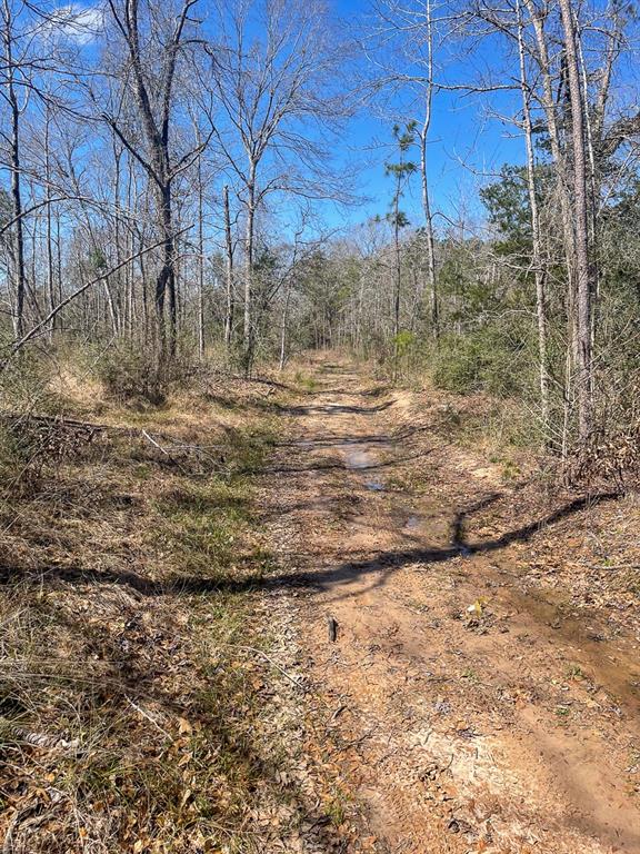 Property adjoins Davy Crockett National Forest with US Highway 287 frontage. Selectively harvested acreage with scattered hardwood trees. Gently rolling topography with a small pond located within. Unrestricted and suited for multi-purpose usage - industrial, leisure ranch, pasture conversion, recreational hunting, residential, timber. Adjoining out tract off Highway 287 is a water company water well. Electric and water available. Aerial imagery does not acurately illustrate tree coverage.