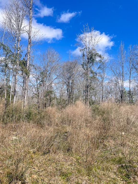 Property adjoins Davy Crockett National Forest with US Highway 287 frontage. Selectively harvested acreage with scattered hardwood trees. Gently rolling topography with a small pond located within. Unrestricted and suited for multi-purpose usage - industrial, leisure ranch, pasture conversion, recreational hunting, residential, timber. Adjoining out tract off Highway 287 is a water company water well. Electric and water available. Aerial imagery does not acurately illustrate tree coverage.