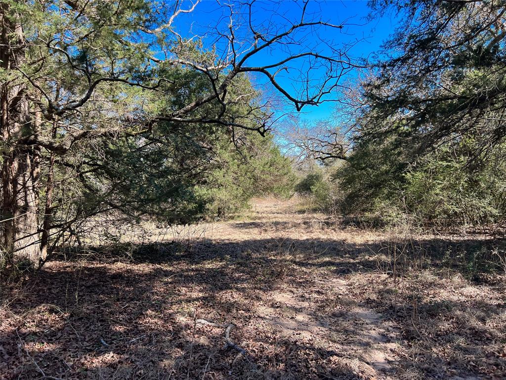 POTENTIAL FOR MORE! Check out this mostly wooded 39.78 ac +/- tract of land located on CR 392 between Robbins and Jewett, Texas.  It is about 70% wooded, fenced and filled with hardwood trees. Perfect for hunting or to build in the back open pasture.  Electricity and water available. (If you are looking for more acreage there is an 82.93 +/- tract available right across the county road for additional consideration. You could build a nice sized place here.) Boundaries shown are approximate.