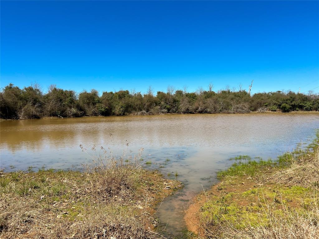 BIG OPPORTUNITY! This new listing is approximately 82.93 acres located on County Road 392 in Jewett, Texas. This one is about 65% wooded, filled with hardwood trees. The rolling terrain, hilltop- potentially a build site for new country home and large pond give property so much appeal. Perfect as is for hunting or could be an incredible homesite with a little clean up. Electricity and water available. (Need more acreage? there is a 39.78 +/- ac tract across the road for additional consideration.)