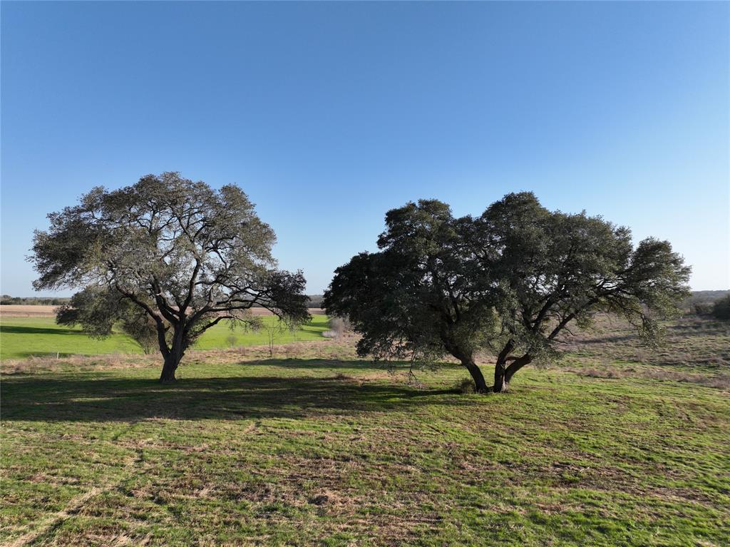 Nestled along a peaceful, slow-traveled road, this stunning 222.49-acre ranch offers a rare opportunity to own a piece of untouched Texas countryside. With rolling elevation changes and breathtaking panoramic views, the landscape is a perfect balance of open pastures and majestic oak trees, creating a setting as beautiful as it is serene. Scattered ponds reflect the wide Texas sky, providing water sources for livestock and wildlife alike. A reliable water well and power on-site ensure convenience, while the county-maintained asphalt road allows easy access to this private retreat. Currently holding an agricultural exemption, the land has been thoughtfully preserved, remaining in the same family for generations. Whether you dream of ranching, recreation, or simply a quiet escape from the rush of everyday life, this property invites you to slow down, breathe deeply & enjoy the beauty of nature. Experience the endless possibilities that await on this extraordinary piece of Texas land.