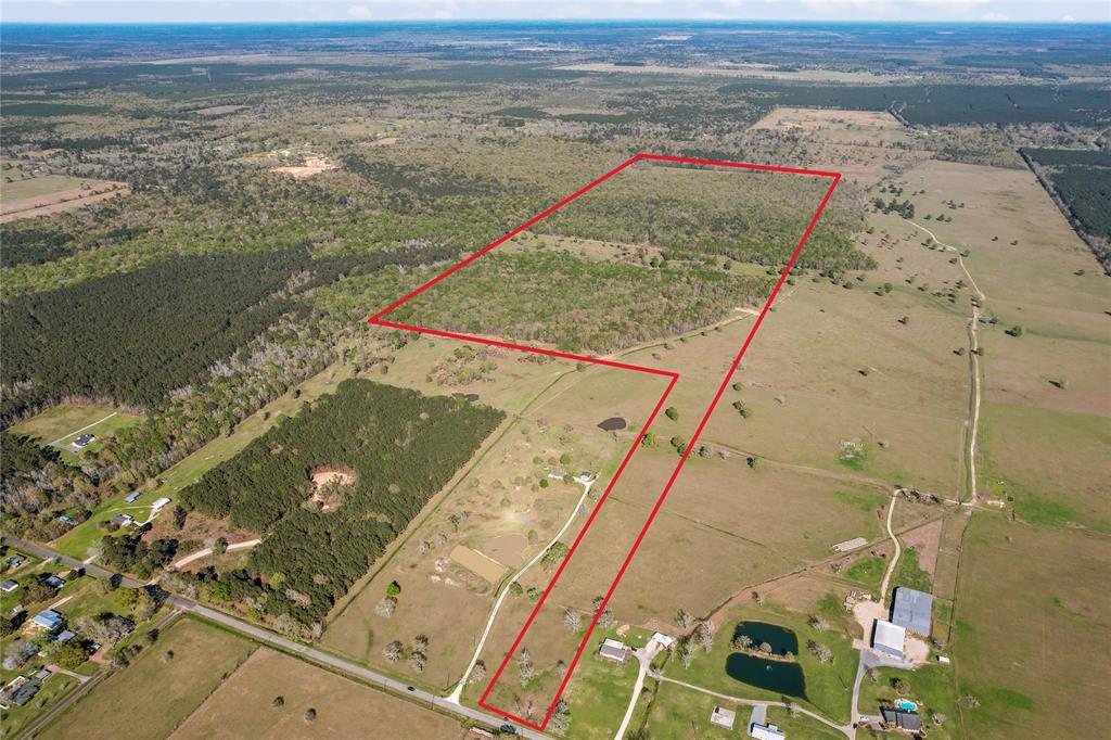 This expansive +/- 250 acre property in Liberty County offers the perfect blend of open pasture and dense woods, making it ideal for a cattle ranch or a private hunting and fishing retreat. With approximately three-fourths of the land covered in mature timber, there’s ample cover for wildlife, enhancing hunting opportunities for deer, hogs, and other game. The property is fenced on three and a half sides, providing a solid foundation for livestock management. Whether you’re looking to raise cattle, enjoy the great outdoors, or create your own secluded getaway, this versatile land offers endless possibilities.