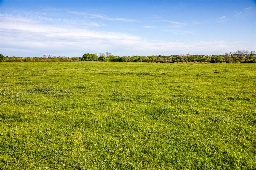 Owned by the same family for generations, this 35 acres offers ample road frontage and plenty of roll.  With beautiful views and a seasonal creek, this blank canvas is ready to be built on! Located just 30 minutes to Kyle Field and nearly 10 minutes to downtown Brenham, this is one that puts you fully in the country without sacrificing conveinces. The possibilites are endless, especially for the person who appreciates the rich history that runs so deep in this area! Come out and experience a blend of past and present in this serene, scenic haven.

Come take a look and see what you can dream up today!