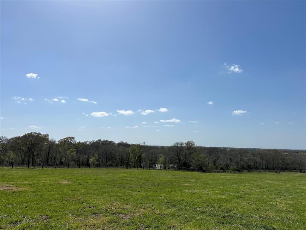 Scenic 40-Acre Ranch in Whitehall, TX! This beautiful property boasts rolling pastures, mature pecan trees, and breathtaking views from one of the highest points in the area—an ideal future homesite. Perfect for cattle, equestrian, or recreational use, it includes a huge hay & equipment barn with a 1/4 poured slab, multiple run-in sheds for horses, and a well. Enjoy the peaceful country setting while being just over 30 miles from Kyle Field and College Station. Easy access via Highway 105, the Aggie Expressway, or Highway 6 makes commuting a breeze. Whether you’re looking for a leisure ranch, weekend retreat, or future dream home, this Whitehall gem offers endless possibilities. Plenty of space for FFA and 4H projects, gardening, or other livestock. Don’t miss this rare opportunity—schedule your showing today! More photos and video coming soon.