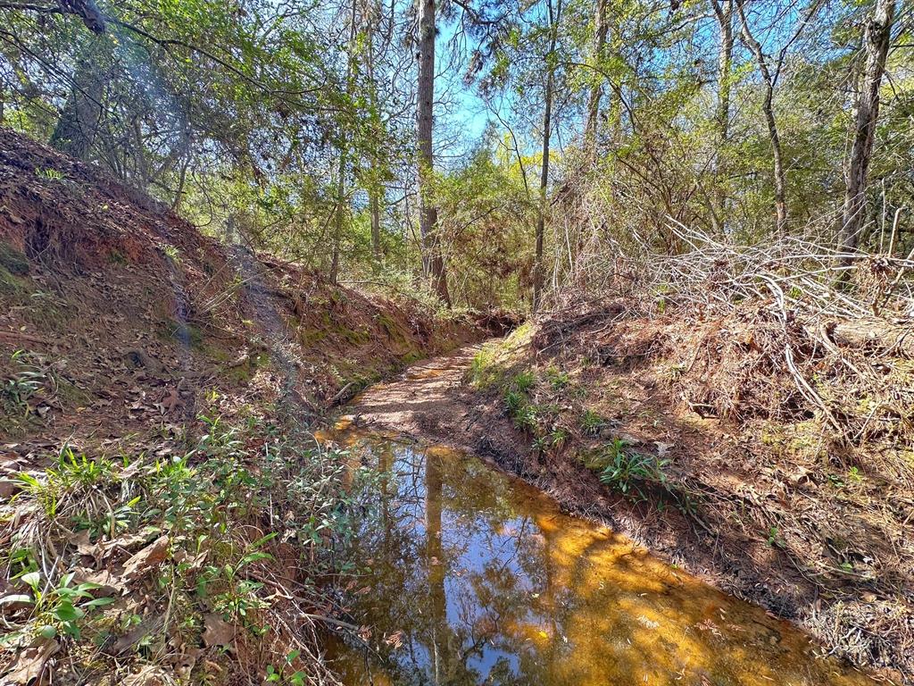 Nestled in the highly desirable southern part of Leon County, this 25-acre property in Leona, Texas offers the perfect blend of tranquility and adventure. Whether you're looking for a weekend retreat, a hunting haven, or a recreational escape, this stunning parcel has it all.
The property features a cozy and well-maintained 875 square foot cabin, offering a peaceful and comfortable place to relax after a day of outdoor fun. The cabin provides an ideal base for your weekend getaways, complete with a charming, rustic feel and all the essentials to enjoy a quiet stay.
For those who love the outdoors, the land is equipped with well-established ATV and walking trails, meandering throughout the property. Explore every inch of this beautiful tract, with a variety of terrain to discover and enjoy.
One of the standout features of the property is the lovely creek that gracefully winds through the land, providing a serene and picturesque setting.