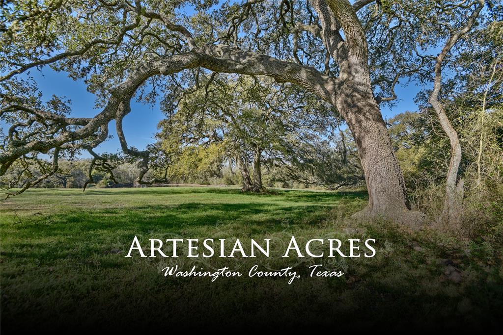 Welcome to Artesian Acres! This 22-acre ag-exempt retreat is a rare find, offering unmatched beauty, privacy, and endless possibilities! Nestled among majestic oaks, native pecans, and even a white mulberry tree! The rolling terrain features stunning views, two charming cottages, and a 1.5-acre stocked fishing pond with dock—a perfect escape for nature lovers!  A vintage windmill with a 45-foot deep hand-dug well adds even more character! The garage/barn/workshop provides ample space for a full-sized pickup, tractor, and plenty of storage. With no restrictions and plenty of space to build your dream home, the opportunities are limitless—homestead, Livestock, vacation retreat, rental income, or recreational getaway. Be sure to check out more details attached to this listing. Priced to sell very fast—don’t miss out on this incredible opportunity! Schedule your private tour today!