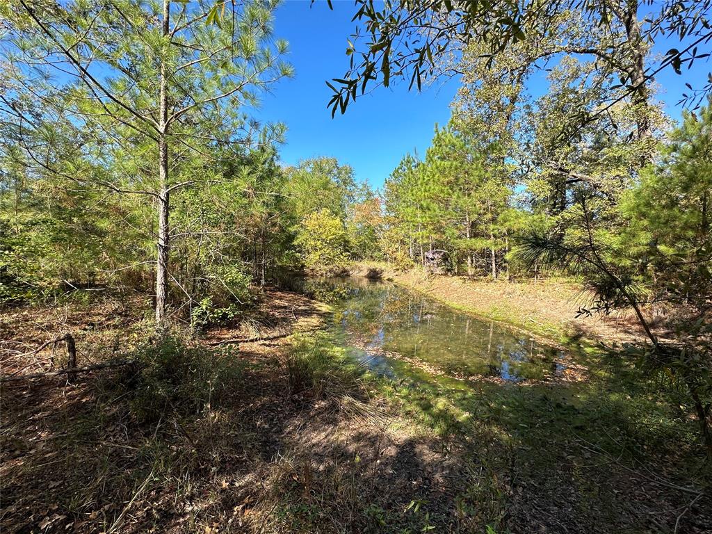 Welcome to 20.15 unrestricted acres with many possibilities. This property has a small pond up front and a water well Just a little past the pond. Near the city limits but in the county, you can subdivide, use it for business and residential, or have a farm the possibilities stop only with your imagination.