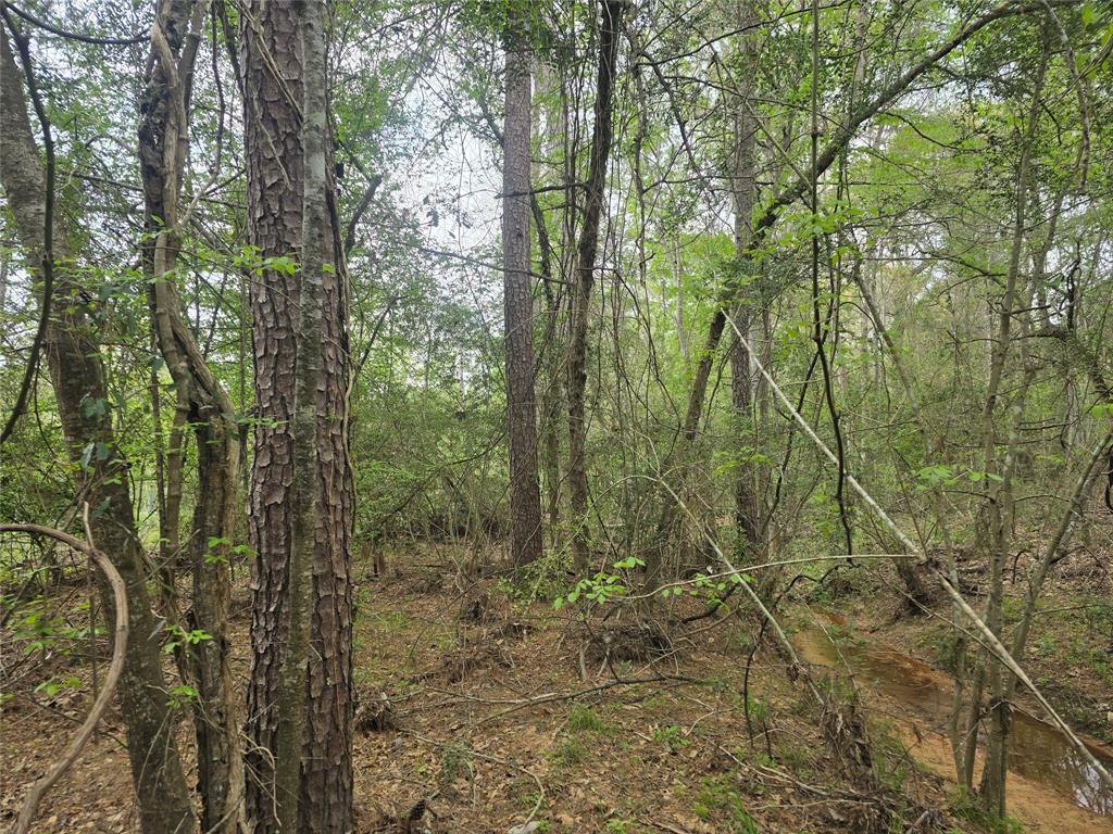 This beautiful 3.52-acre wooded lot in Coldspring, Texas, offers a peaceful country setting with a lot of potential. It features fully mature hardwood trees and has a silent creek running through it, enhancing the serene atmosphere. The property is located just off Hwy 150, making it easily accessible, and it's only a 45-minute drive from The Woodlands, offering a perfect blend of privacy and convenience. Whether you're looking for a place to build a home or enjoy nature, the possibilities are endless with this charming property. In addition, this property has an existing power pole for a drop.