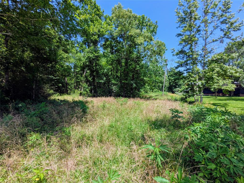 TBD County Road 190 Liberty, Texas This unique property offers seclusion with the convenience of being near HWY 90 in Raywood, TX. This tract is mostly wooded and backs up to undeveloped land giving you plenty of privacy. Access to public water from Raywood water supply. Septic will need to be installed. Conveniently located between Beaumont and Liberty. You could build a homeplace on the acreage to the north and have plenty of additional land for recreational use. This property has roughly 35 feet of road frontage on CR 190, plus you can access to the south side of the property via the easement road, shown on the map as PR 1908.