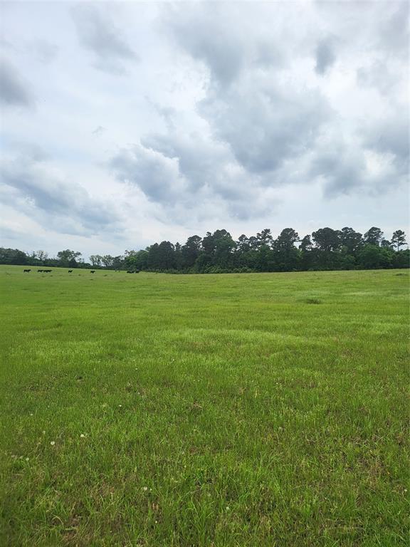 Beautiful open land.  Utitlities at the road and a pond situated at the side of the property.  Endless possibilities with these 3 parceled properties.   This is the perfect oasis for building your dream home/s with open pastures and rolling hills.  Other Listing #'s are 90415048 - 76.726 acres & 18000747 - 21 acres.  All 3 properties to be sold/parceled together.  All properties are in tandem.