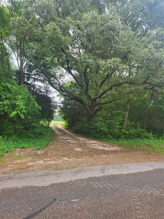 Beautiful open land.  Utitlities at the road and a pond situated at the side of the property.  Endless possibilities with these 3 parceled properties.   This is the perfect oasis for building your dream home/s with open pastures and rolling hills.  Other Listing #'s are 90415048 - 76.726 acres & 18000747 - 21 Acres.  All 3 properties to be sold/parceled together.  All properties are in tandem.