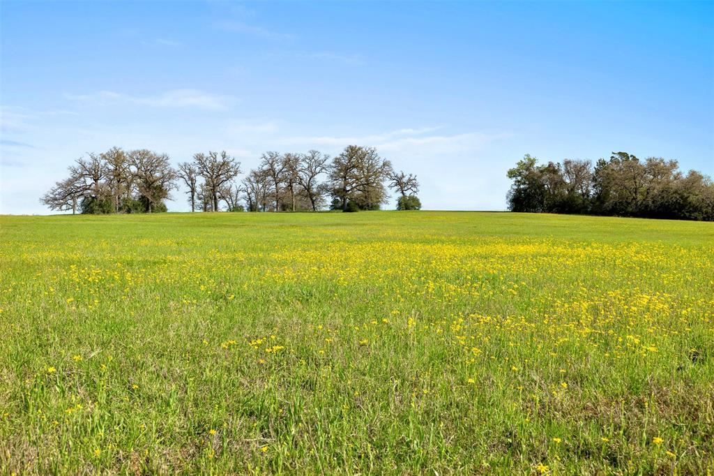 Beautiful 16 acre property near the small community of Fedor, farming and ranching land known for its rolling hills, picturesque views and scarcity on the RE market. Accessed by easement, this acreage is at the back of a larger property, away from the road for maximum privacy with a perfect building site amongst a stand of trees. 
Featuring wide-open skies for breath-taking star gazing and spectacular hill-top views of neatly manicured fields and neighboring properties. 
Improved pasture is perimeter fenced on three sides for livestock, but destined for bigger and better things!