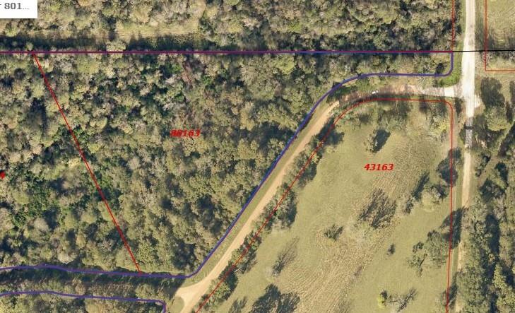 Escape to the countryside with this rare 5.06 acre corner lot in Shepherd, TX—featuring over 1 acre cleared, a rustic hunting cabin, electricity access, and triple street frontage! Located at a prime corner with frontage on three quiet country roads, this versatile property offers multiple access points and endless possibilities for development, recreation, or homesteading. Whether you're looking to build your dream home, create a weekend getaway, or invest in land with real potential, this lot has it all. Enjoy the privacy and space of rural living, with the convenience of power already available on-site.. Don’t miss your chance to own this unique piece of Texas land—schedule a visit today.